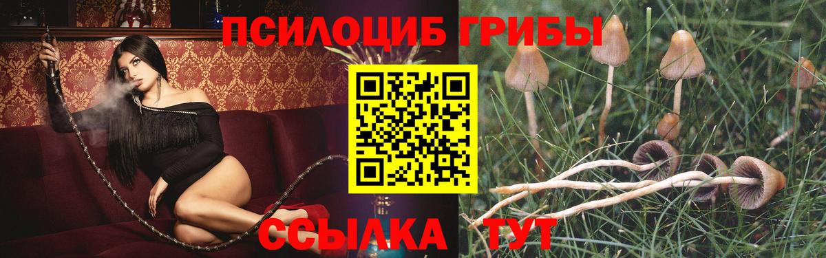 Галлюциногенные грибы мухоморы Лесосибирск