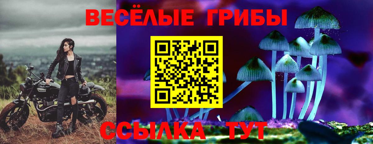 Лесосибирск  купить наркотики цена  Вход с VPN  Галлюциногенные грибы Cubensis 